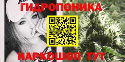гидропоника Жуковский